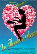 La Flor de mi Secreto, 1995