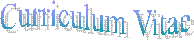 Curriculum Vitae